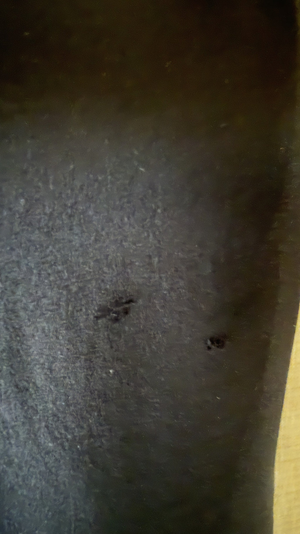 INV-103 Eileen Fisher silk top fabric flaw detail